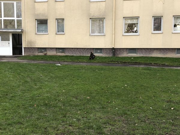 Technische Hilfeleistung klein